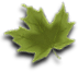 Country leaf