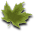 country leaf